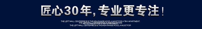 300B2--图1_01.jpg
