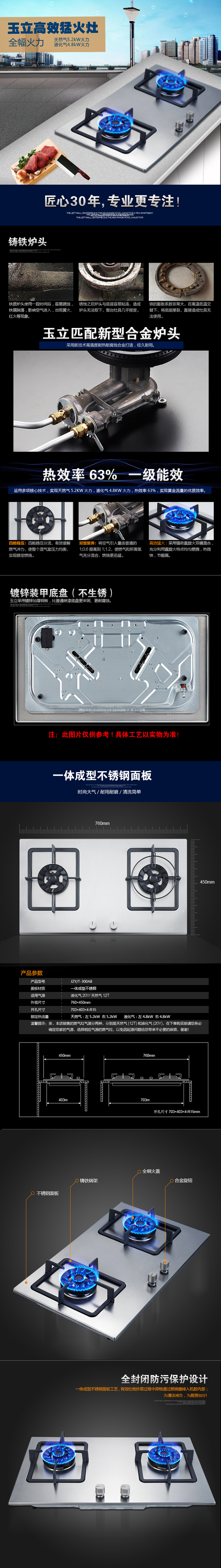 300A8  图1.jpg